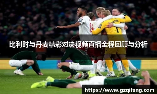 比利时与丹麦精彩对决视频直播全程回顾与分析